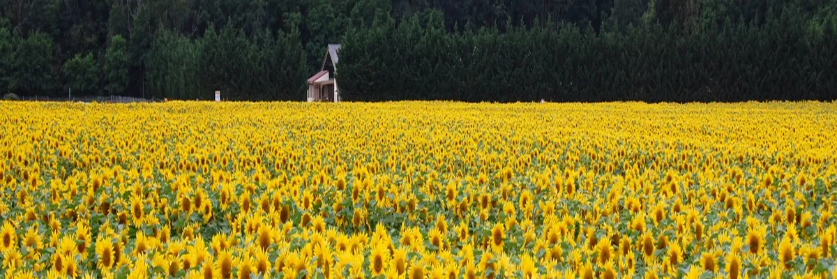 image-location-spa-a-domicile-centre-val-de-loire.webp Image Location spa à domicile Centre-Val de Loire