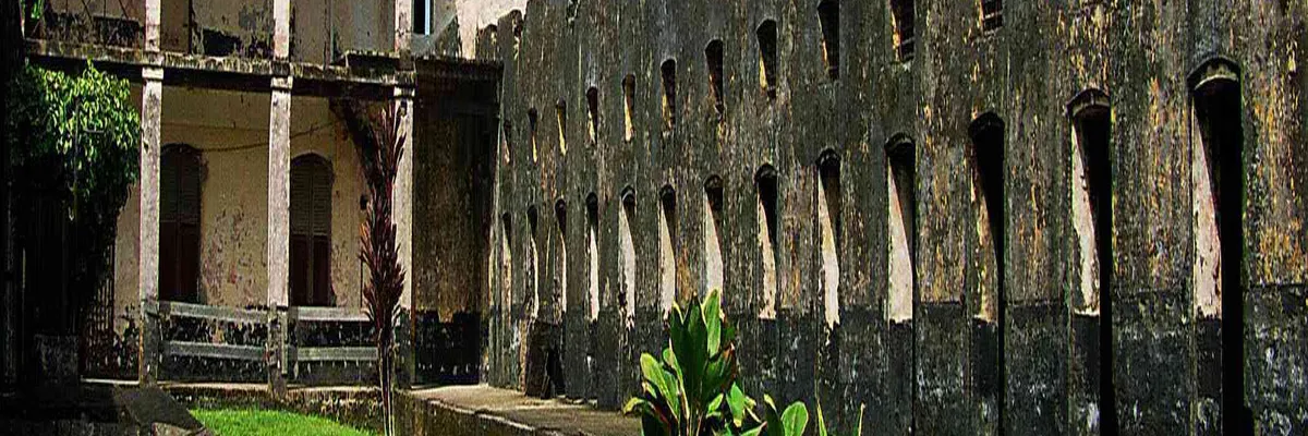 image-location-spa-a-domicile-guyane.webp Image Location spa à domicile Guyane