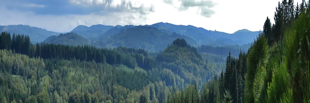 image-location-spa-a-domicile-haute-vienne.webp Image Location spa à domicile Haute-Vienne