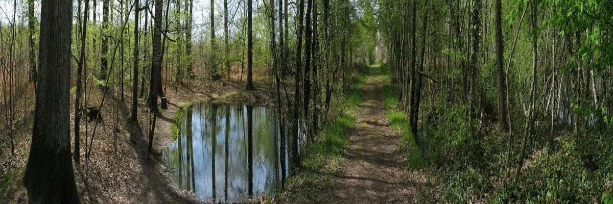 image-location-spa-a-domicile-indre.webp Image Location spa à domicile Indre