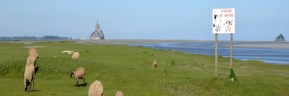 image-location-spa-a-domicile-manche.webp Image Location spa à domicile Manche