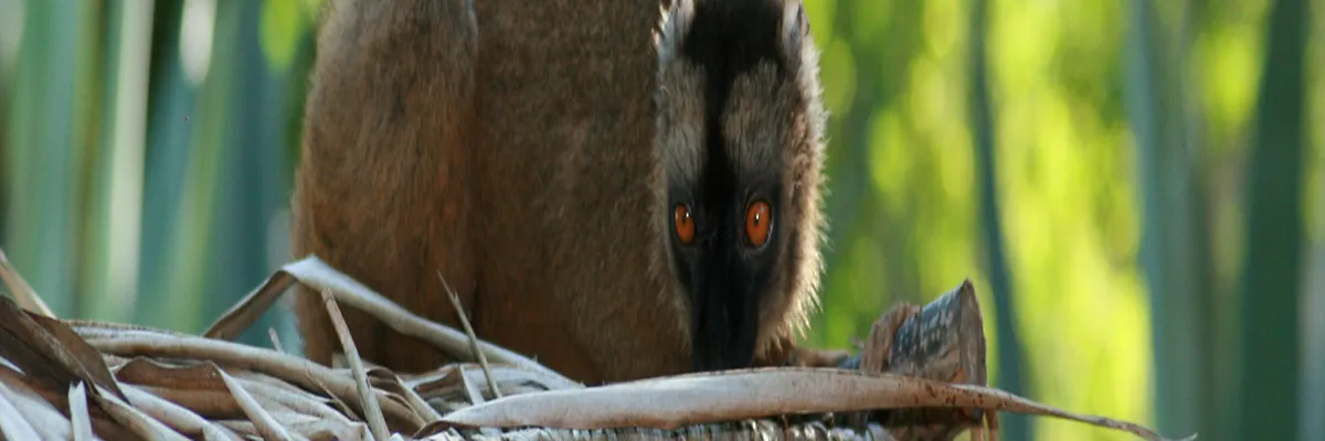 image-location-spa-a-domicile-mayotte.webp Image Location spa à domicile Mayotte