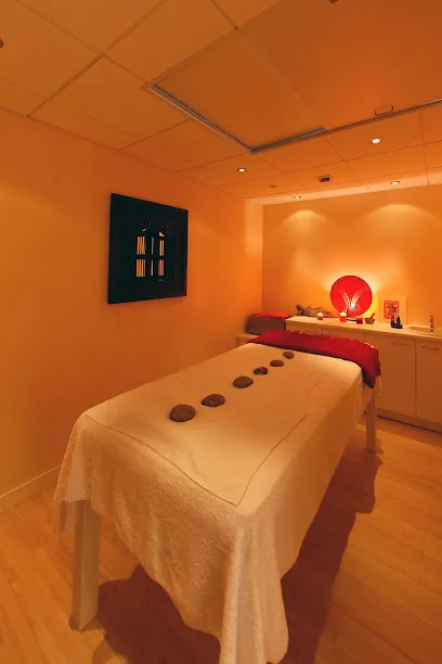 Image de Alexandra & Maxime