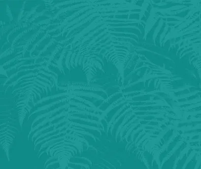 Image de Échappées Zen - Massages du Monde - Massage relaxant à domicile Mérignac (33)