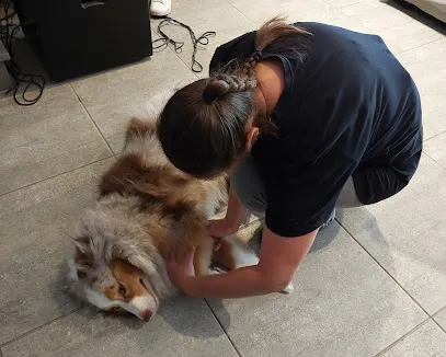 Image de Entre Mes Main'S