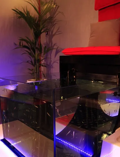 Image de Happy Feet Fish Pédicure