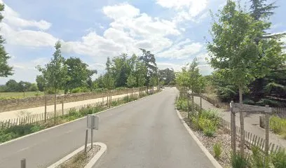 Image de Kosmose massage