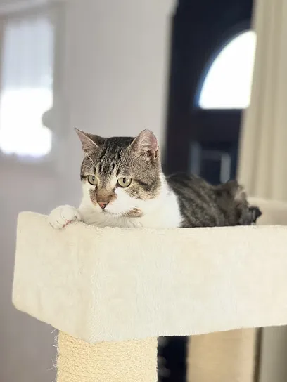 Image de La SPA - Maison SPA de Charleville-Mézières