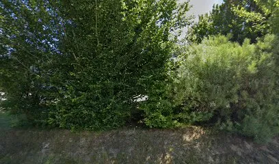 Image de Mani'Massage : Massages Bien-Être & Réflexologie Bois-Guillaume