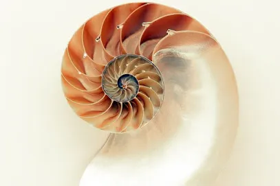 Image de Massages By Julie - A Domicile