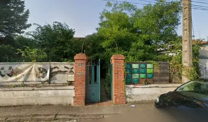 Image de Mea preciosa - Amandine Sahmi