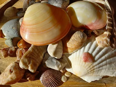 Image de Merveille d'Ourse massages bien être à domicile Dompierre Sur Yon 85 Vendée