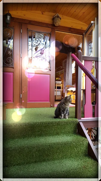 Image de Myriam Galland