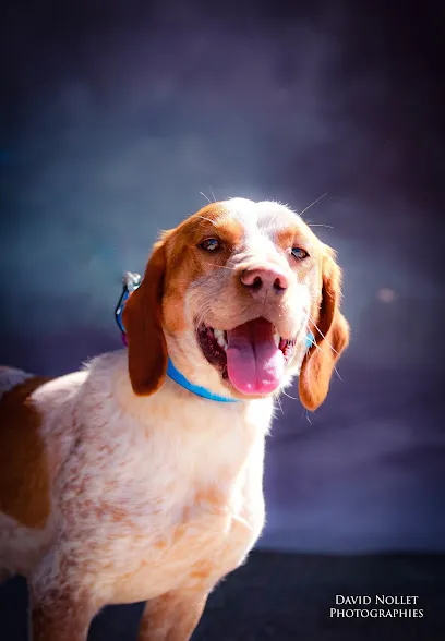 Image de SPA Sud Alpine