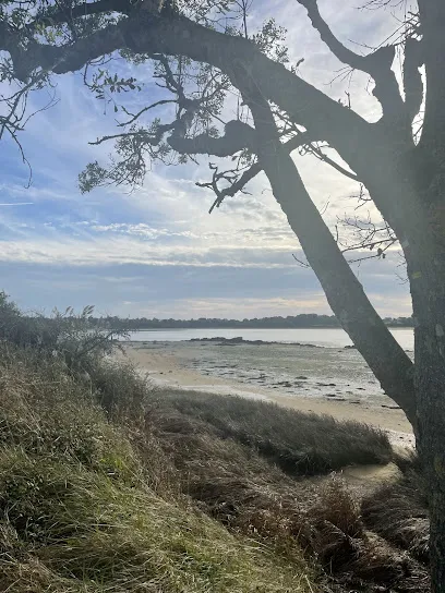 Image de Yin Yoga - Louise Frenay