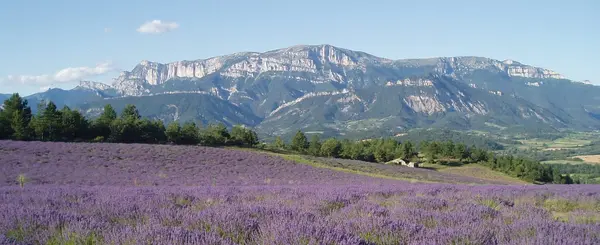 Loue Ton Jacuzzi Location spa à domicile Drôme